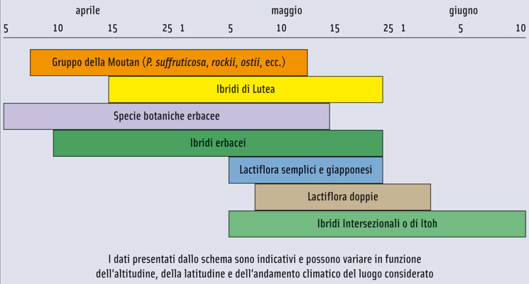 tabella fioritura