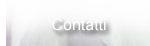 contatti