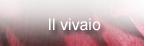 vivaio